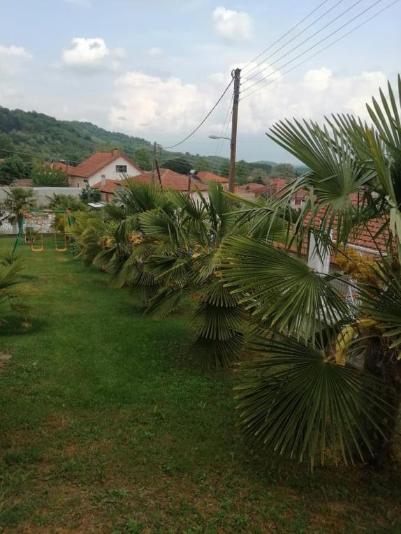 Villa Paradisos Likostomon المظهر الخارجي الصورة