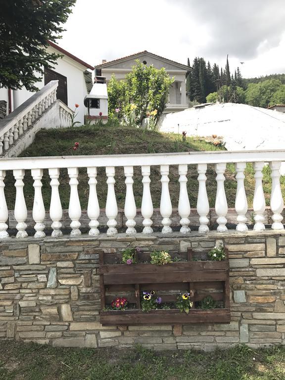 Villa Paradisos Likostomon المظهر الخارجي الصورة